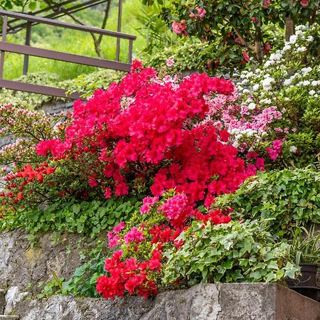 Bellavista Garden And Flowers Varenna Exterior foto